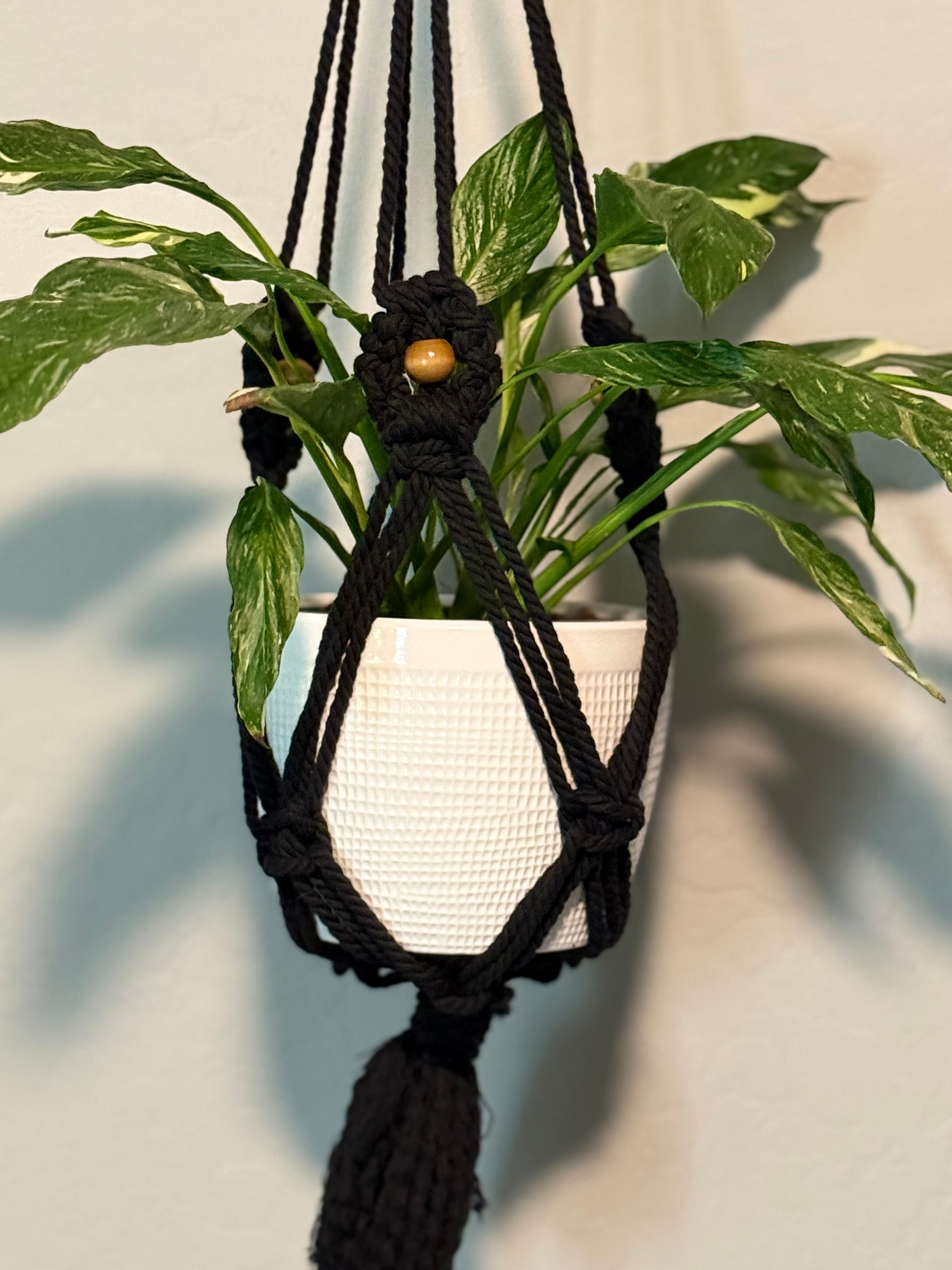 plant Hanger Simple - Product image