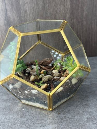 Desert Terrarium
